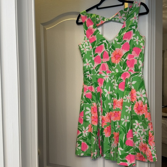 Lilly Pulitzer Freja Dress - Picture 5 of 9